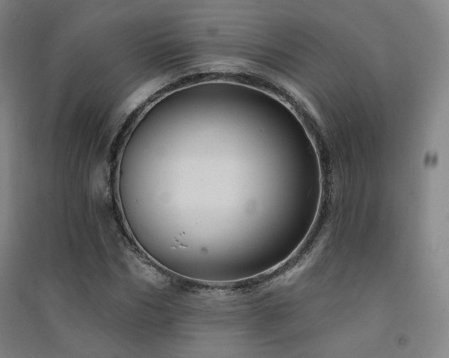 X0000091470970200708161355