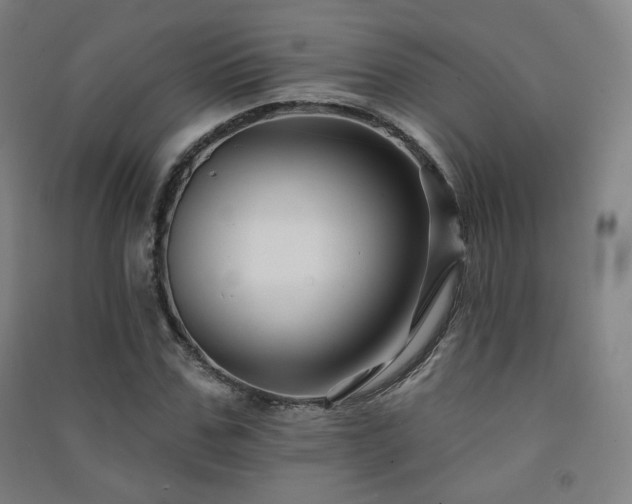 X0000091470971200708161355
