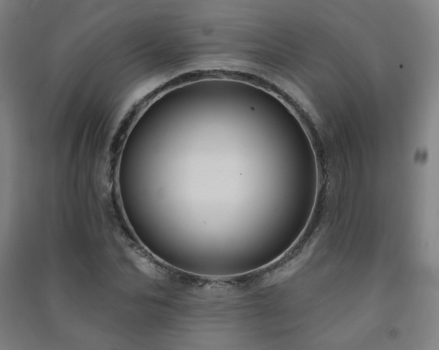 X0000091470974200708161355
