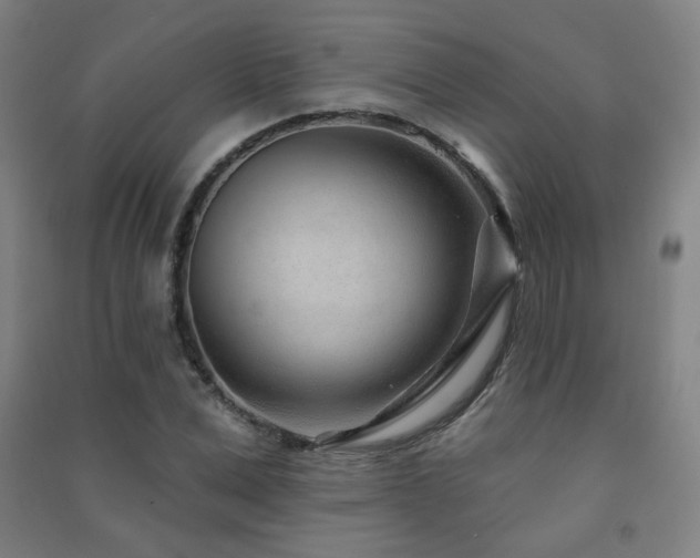 X0000091470975200708161355