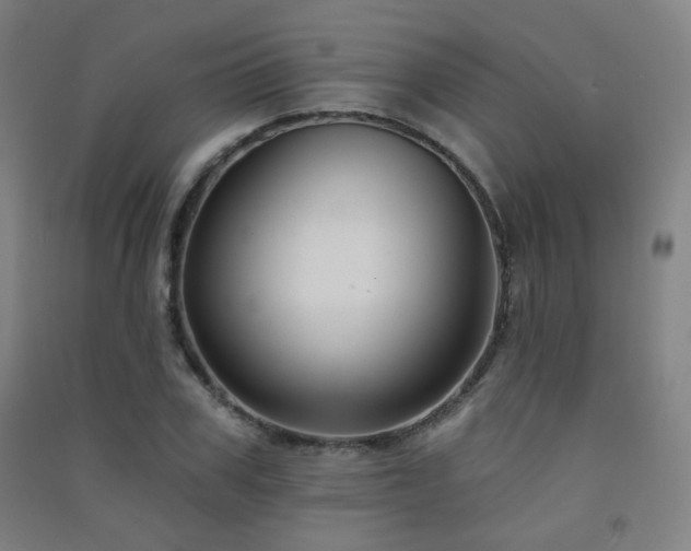 X0000091470979200708161355
