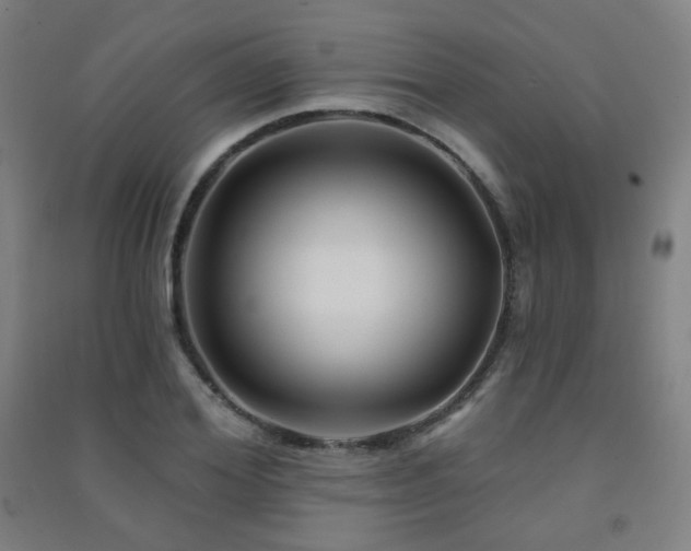 X0000091470980200708161355