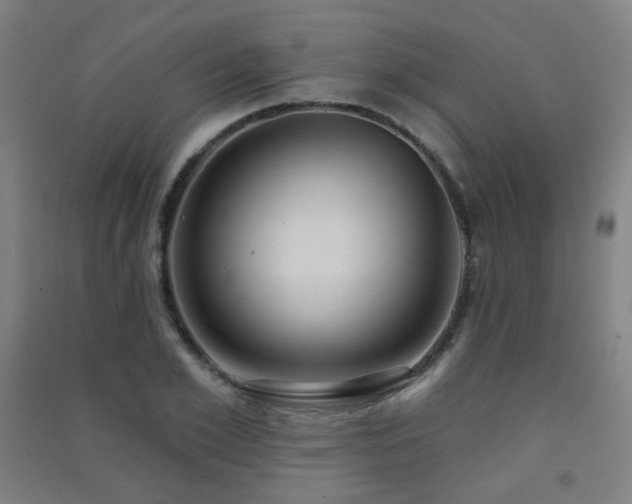 X0000091470981200708161355