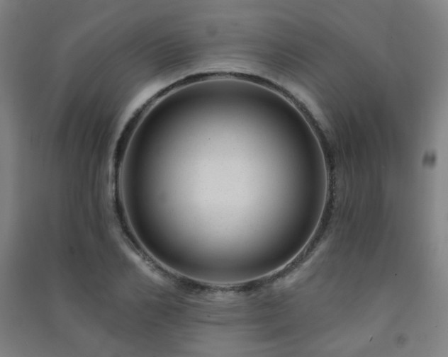 X0000091470982200708161355