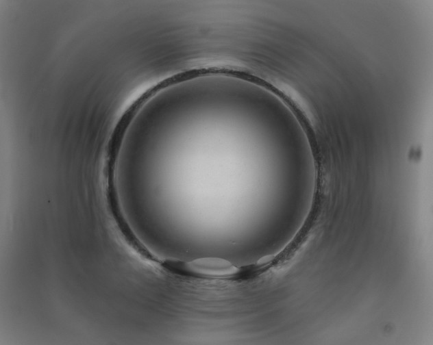 X0000091470983200708161355