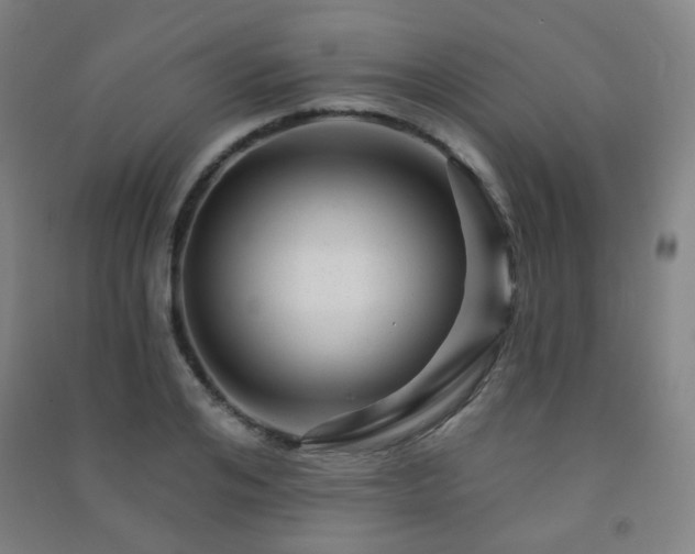 X0000091470984200708161355