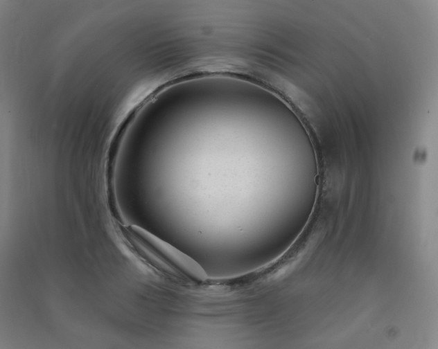 X0000091470986200708161355