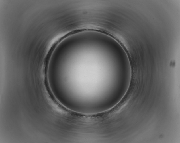 X0000091470987200708161355