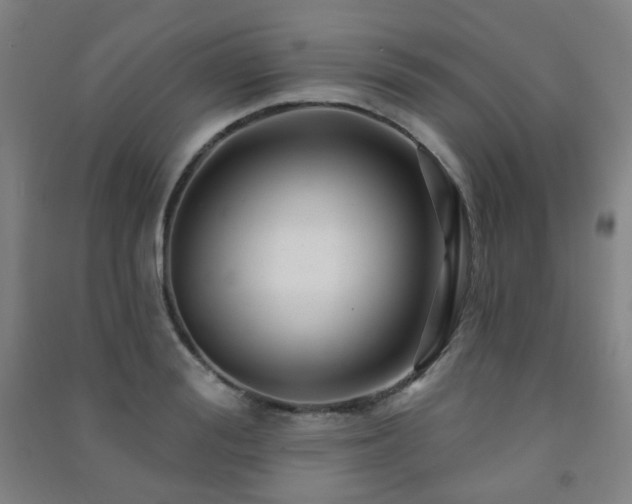 X0000091470988200708161355