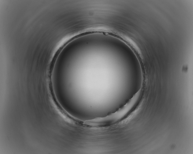X0000091470989200708161355