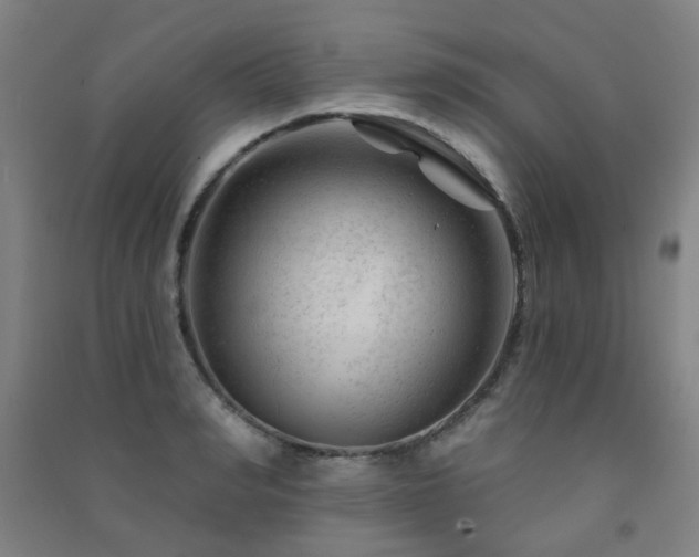 X0000091470990200708161355