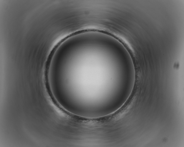 X0000091470991200708161355