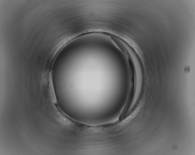 X0000091470993200708161355