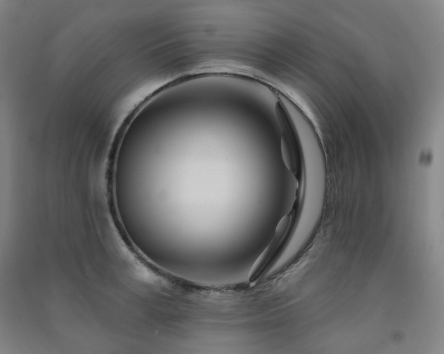 X0000091470995200708161355
