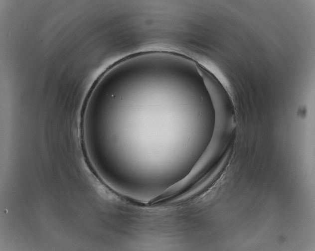 X0000091470996200708161355