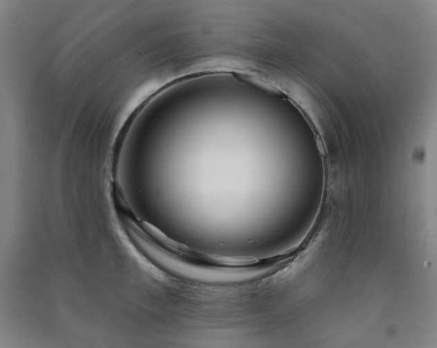 X0000091470997200708161355