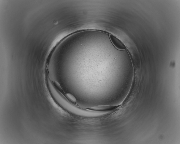 X0000091470998200708161355