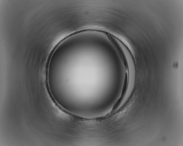 X0000091470999200708161355