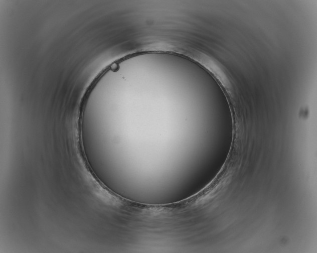 X0000091471000200708161355