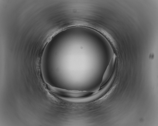 X0000091471001200708161355