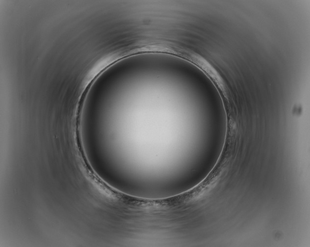 X0000091471002200708161355