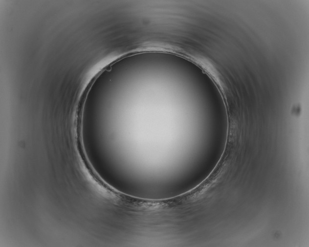 X0000091471003200708161355