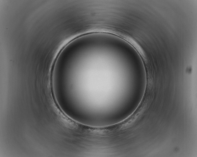 X0000091471004200708161355