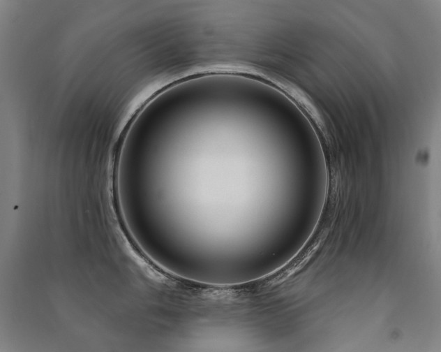 X0000091471006200708161355