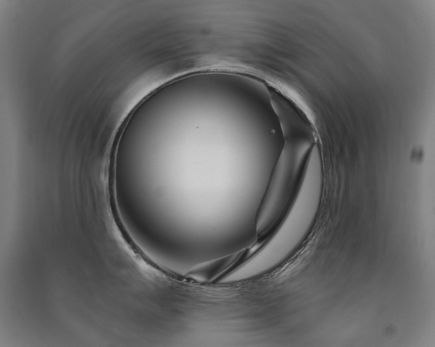 X0000091471007200708161355