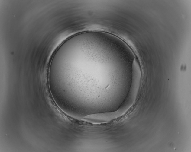 X0000091471008200708161355