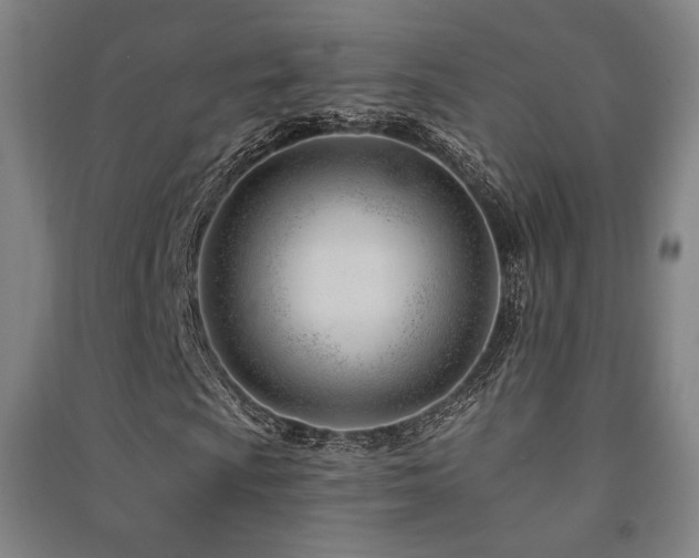 X0000091471009200708161354