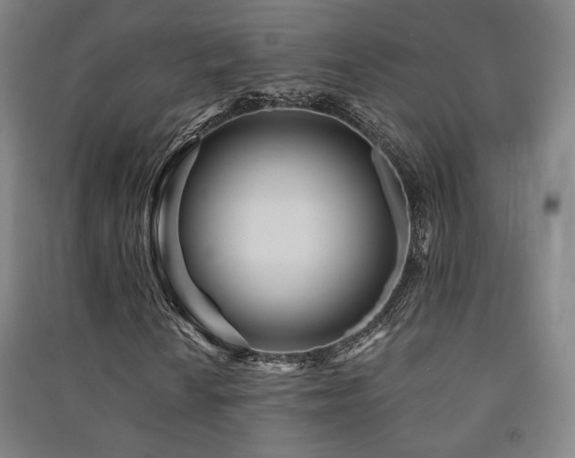 X0000091471010200708161354
