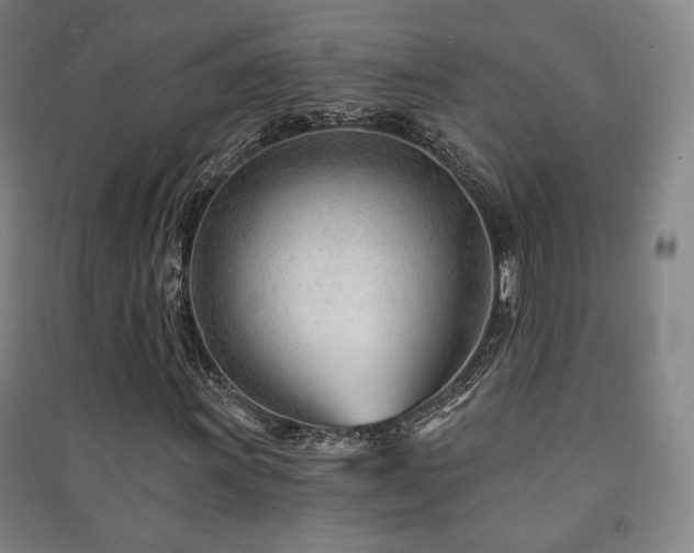 X0000091471011200708161354