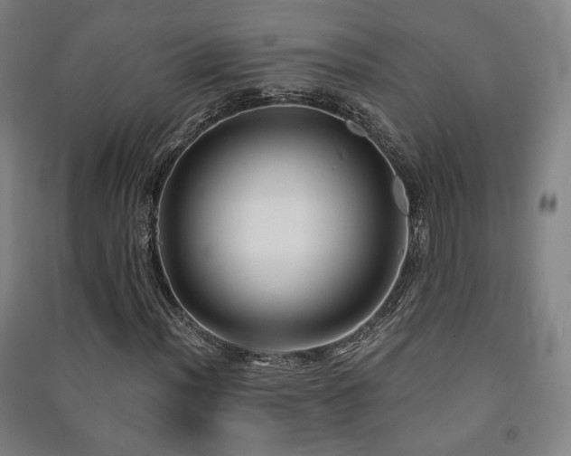 X0000091471012200708161354