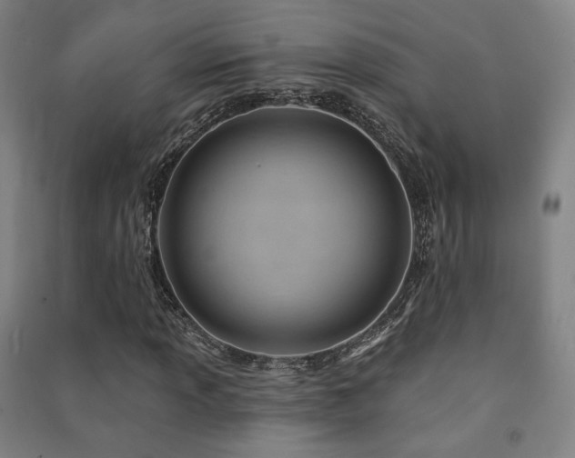 X0000091471013200708161354