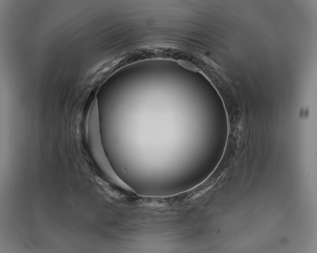 X0000091471014200708161354