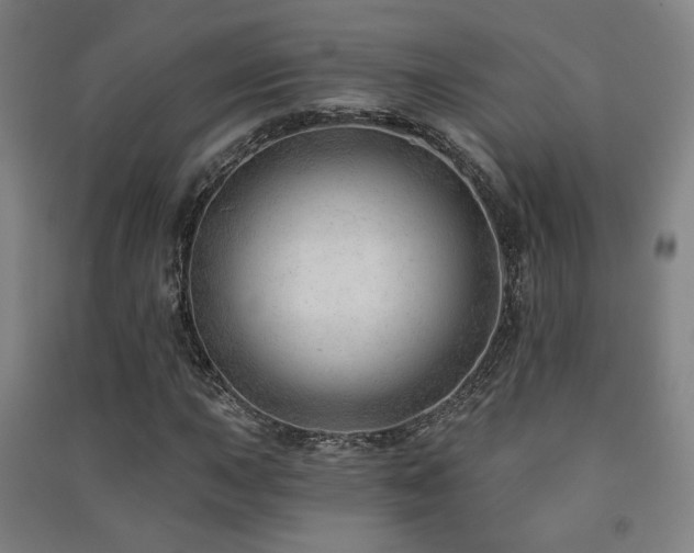 X0000091471015200708161354