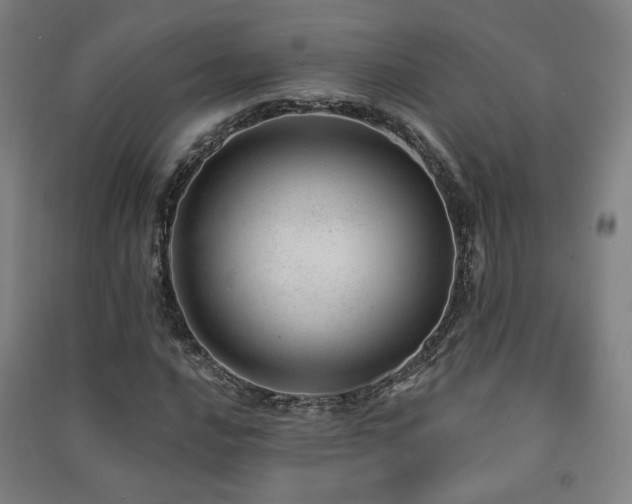 X0000091471016200708161354