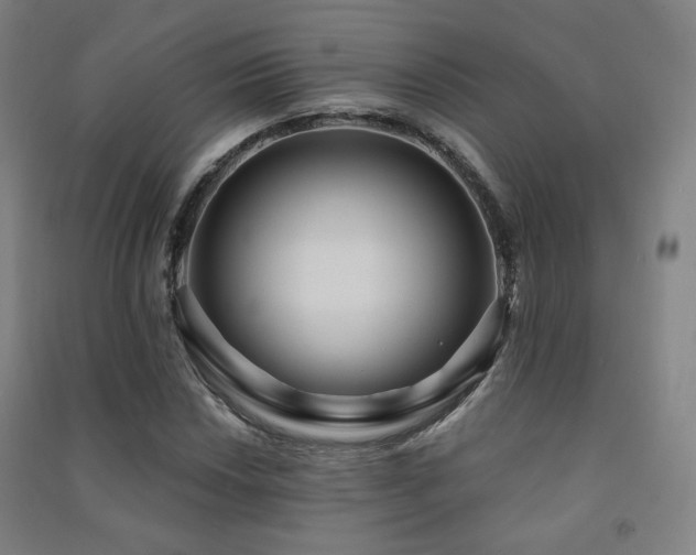 X0000091471018200708161354