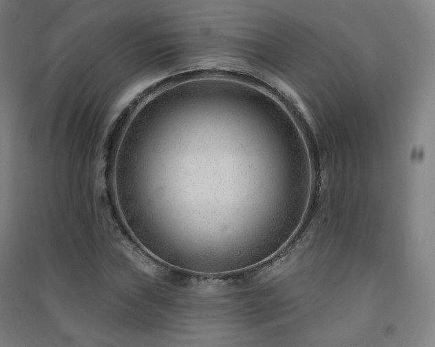 X0000091471019200708161354