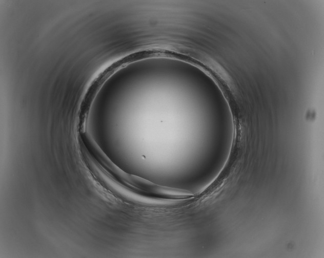 X0000091471020200708161354