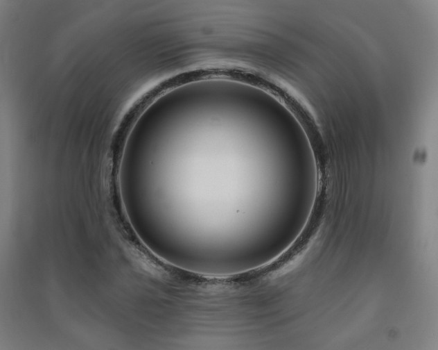 X0000091471021200708161354