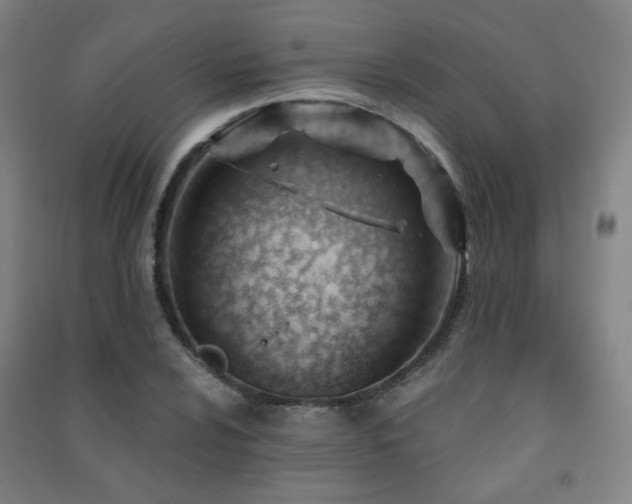 X0000091471024200708161354