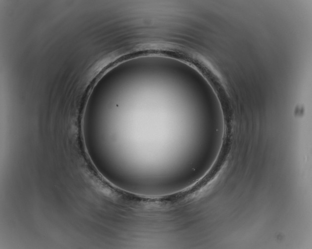 X0000091471025200708161354