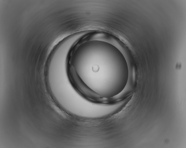 X0000091471026200708161355