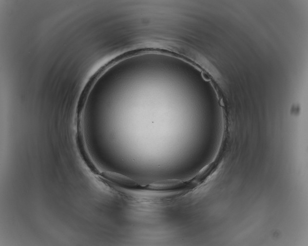 X0000091471028200708161355