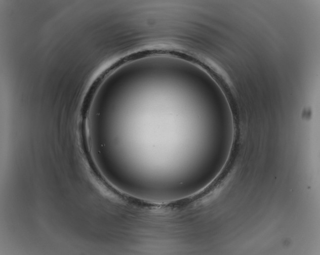 X0000091471029200708161355
