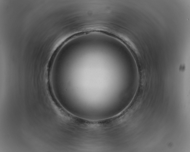 X0000091471031200708161355