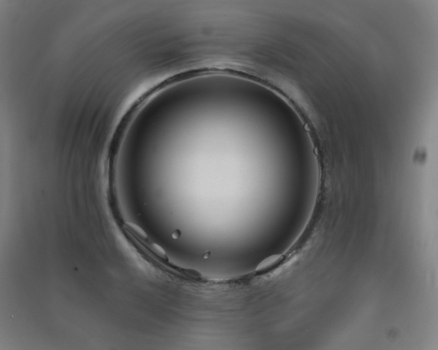 X0000091471032200708161355