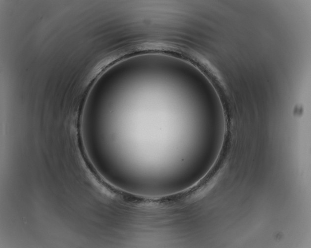 X0000091471033200708161355